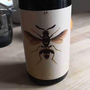 Il Sangiovese - AZIENDA AGRICOLA NOELIA RICCI - marco-cirese