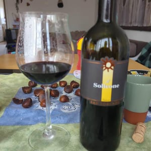 Il Solleone - Fattoria San Lorenzo - Natalino Crognaletti 