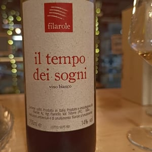 Il tempo dei sogni - Filarole - barbara-pulliero-paolo-rusconi