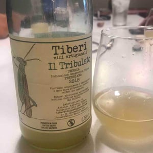 Tiberi Vini Artigianali - Cesare, Piero & Federico Tiberi - Il Tribulato