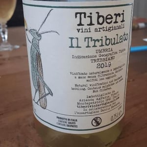 Il Tribulato - Tiberi Vini Artigianali - cesare-piero-federico-tiberi