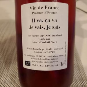 Il va, ca va Je vais, je sais - Anders Frederik Steen & Anne Bruun Blauert - Anders Frederik Steen & Anne Bruun Blauert 
