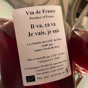 Il va, ca va Je vais, je sais - Anders Frederik Steen & Anne Bruun Blauert - anders-frederik-steen-anne-bruun-blauert