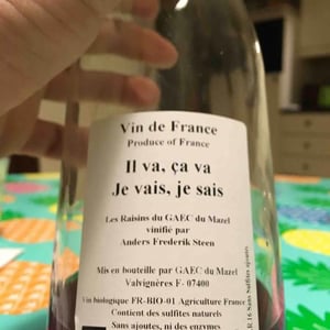 Il va, ca va Je vais, je sais - Anders Frederik Steen & Anne Bruun Blauert - Anders Frederik Steen & Anne Bruun Blauert 