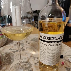 Poderi Cellario - Fausto & Cinzia Cellario - Il vino che non c’è Bianco