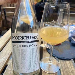 Il vino che non c’è Bianco - Poderi Cellario - fausto-cinzia-cellario