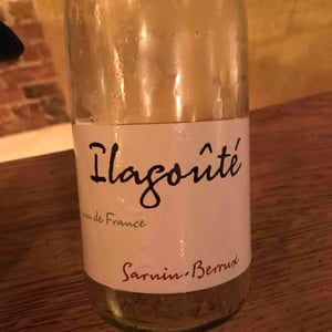 Sarnin-Berrux - Jean-Pascal Sarnin & Jean-Marie Berrux - Ilagoûté