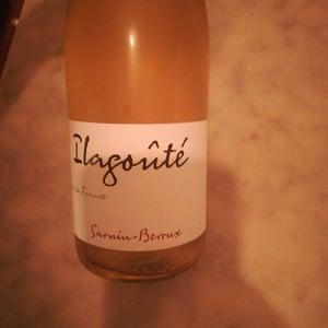 Ilagoûté - Sarnin-Berrux - Jean-Pascal Sarnin & Jean-Marie Berrux 