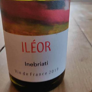 Ileor - Domaine Inebriati - Victor Beau 