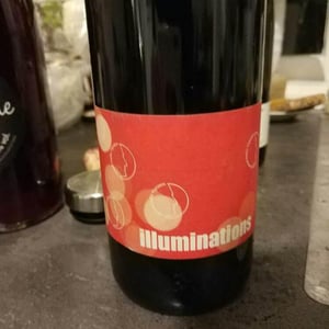 Laurent Herlin Vigneron - Laurent Herlin - Illuminations