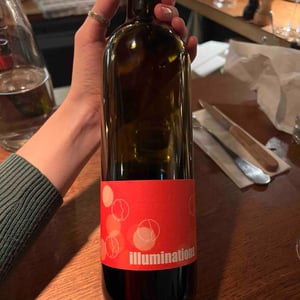 Illuminations - Laurent Herlin Vigneron - Laurent Herlin 