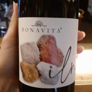 ILNO' - Azienda Agricola Bonavita - giovanni-scarfone