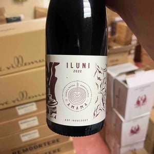 Iluni - Domaine Amama - joanes-haritschelhar-oi -2023