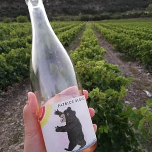 I'm Forever Blowing Bubbles Pet' Nat - Domaine Hughes-Beguet - caroline-patrice-hughes-beguet