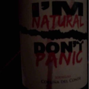 Bodegas Coruña del Condé - Angelica Amo Lopez & Julien Ben Hamou Lopez - I’M Natural Don’t Panic