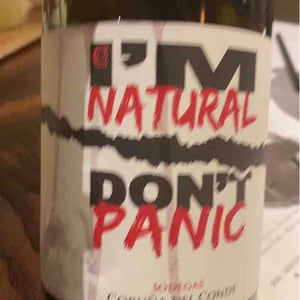 Bodegas Coruña del Condé - Angelica Amo Lopez & Julien Ben Hamou Lopez - I’M Natural Don’t Panic