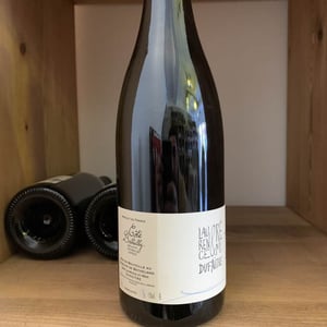 Côte de Brouilly - Domaine de Botheland - remi-dufaitre-laurence-liatard