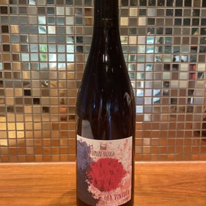 La Vinhota - Domaine Balansa - celine-peyre-alex-gressent