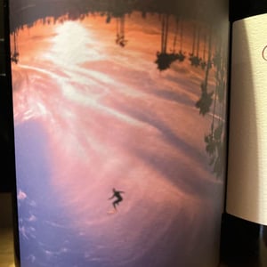 Coteaux bourguignons - Regis et Sylvain - Regis et Sylvain -2018