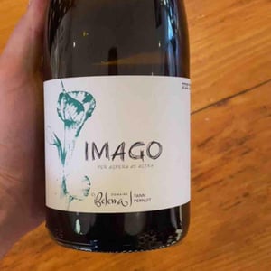 Imago - Les Vins De Belema - yann-pernuit -2021