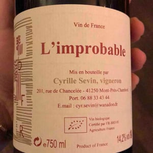 Improbable - Cyrille Sevin - cyrille-sevin -2019