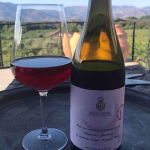 V - Azienda Agricola Francesco Guccione - Francesco Guccione -2019