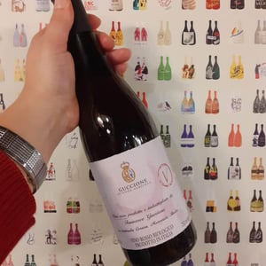 V - Azienda Agricola Francesco Guccione - francesco-guccione -2019