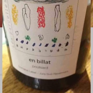 Domaine Labet - Julien, Charline & Romain Labet - Les Parcelles Rares - En Billat Poulsard