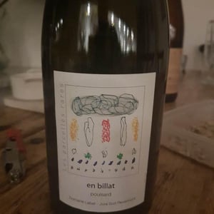 Domaine Labet - Julien, Charline & Romain Labet - Les Parcelles Rares - En Billat Poulsard