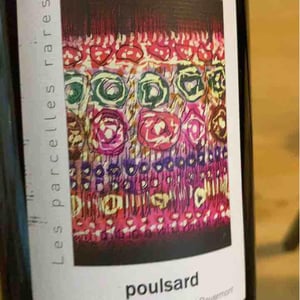 Domaine Labet - Julien, Charline & Romain Labet - Les Parcelles Rares - En Billat Poulsard
