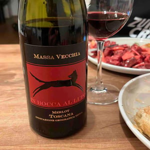 In Bocca al Lupo - Massa Vecchia - Francesca Sfondrini & Fabrizio Niccolaini -2018