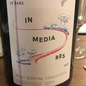 In Media Res - Domaine Le Bars - gwennaelle-le-bars -2021