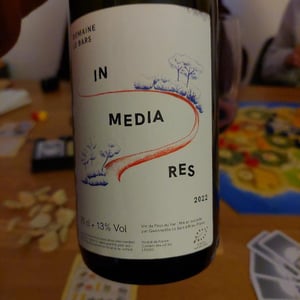 In Media Res - Domaine Le Bars - Gwennaëlle Le Bars -2021