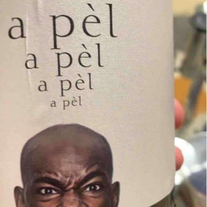 A Pel, A Pel - Loxarel - josep-mitjans -2020