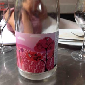 Vinyes Singulars - Ignasi Segui - Al Rosa, l'Amor s'Hi Posa