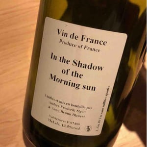In the Shadow of the Morning Sun - Anders Frederik Steen & Anne Bruun Blauert - Anders Frederik Steen & Anne Bruun Blauert 