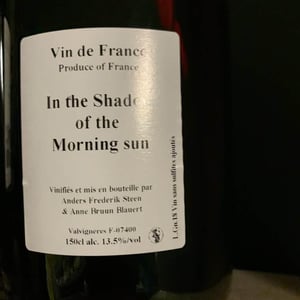 In the Shadow of the Morning Sun - Anders Frederik Steen & Anne Bruun Blauert - Anders Frederik Steen & Anne Bruun Blauert 