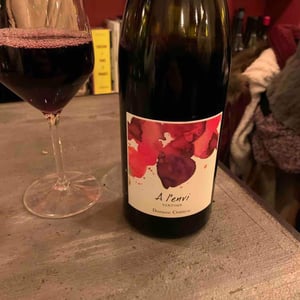 A L’envi - Domaine Childéric - Anne-Luoise & Johann Chassaing 