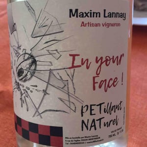 In Your Face - Les Barbatruks - isabelle-delahaye-lannay-maxim