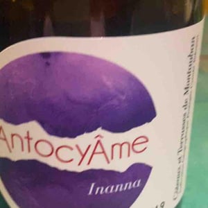 Inanna - AntocyÂme - Muriel Zoldan 