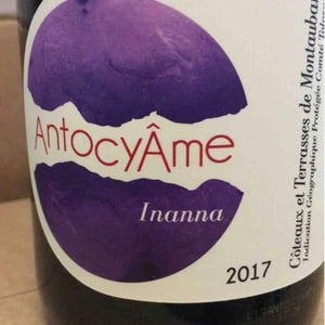 Inanna - AntocyÂme - muriel-zoldan