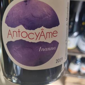 AntocyÂme - Muriel Zoldan - Inanna