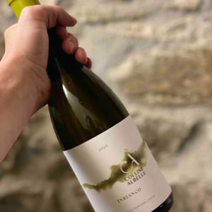 Inbianco - Colline Albelle - Julian Reneaud -2021
