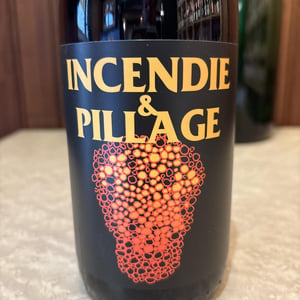 Incendie et pillage - No Control - vincent-marie -2023