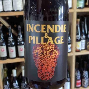 Incendie et pillage - No Control - vincent-marie -2023