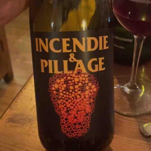 No Control - Vincent Marie - Incendie et pillage