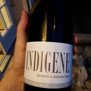 Domaine André & Mireille Tissot - Bénédicte & Stéphane Tissot - Indigene
