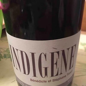 Domaine André & Mireille Tissot - Bénédicte & Stéphane Tissot - Indigene