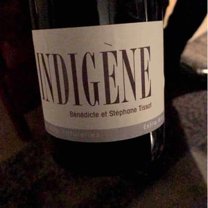 Domaine André & Mireille Tissot - Bénédicte & Stéphane Tissot - Indigene