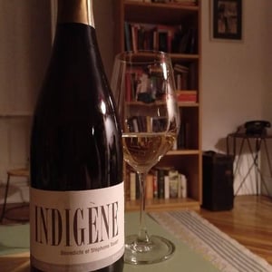 Domaine André & Mireille Tissot - Bénédicte & Stéphane Tissot - Indigene